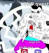 tnd.quest